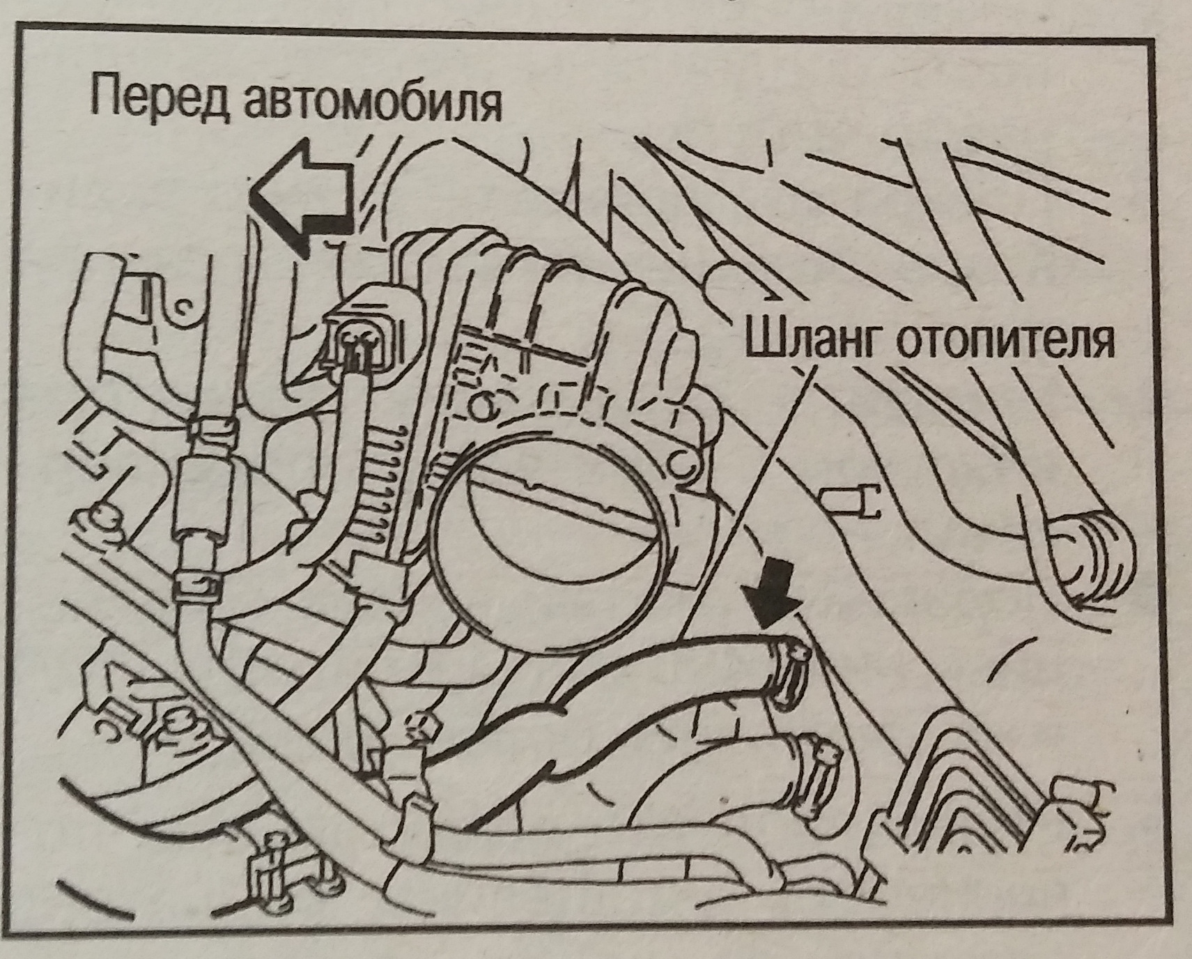 Система охлаждения ниссан мурано z50 схема