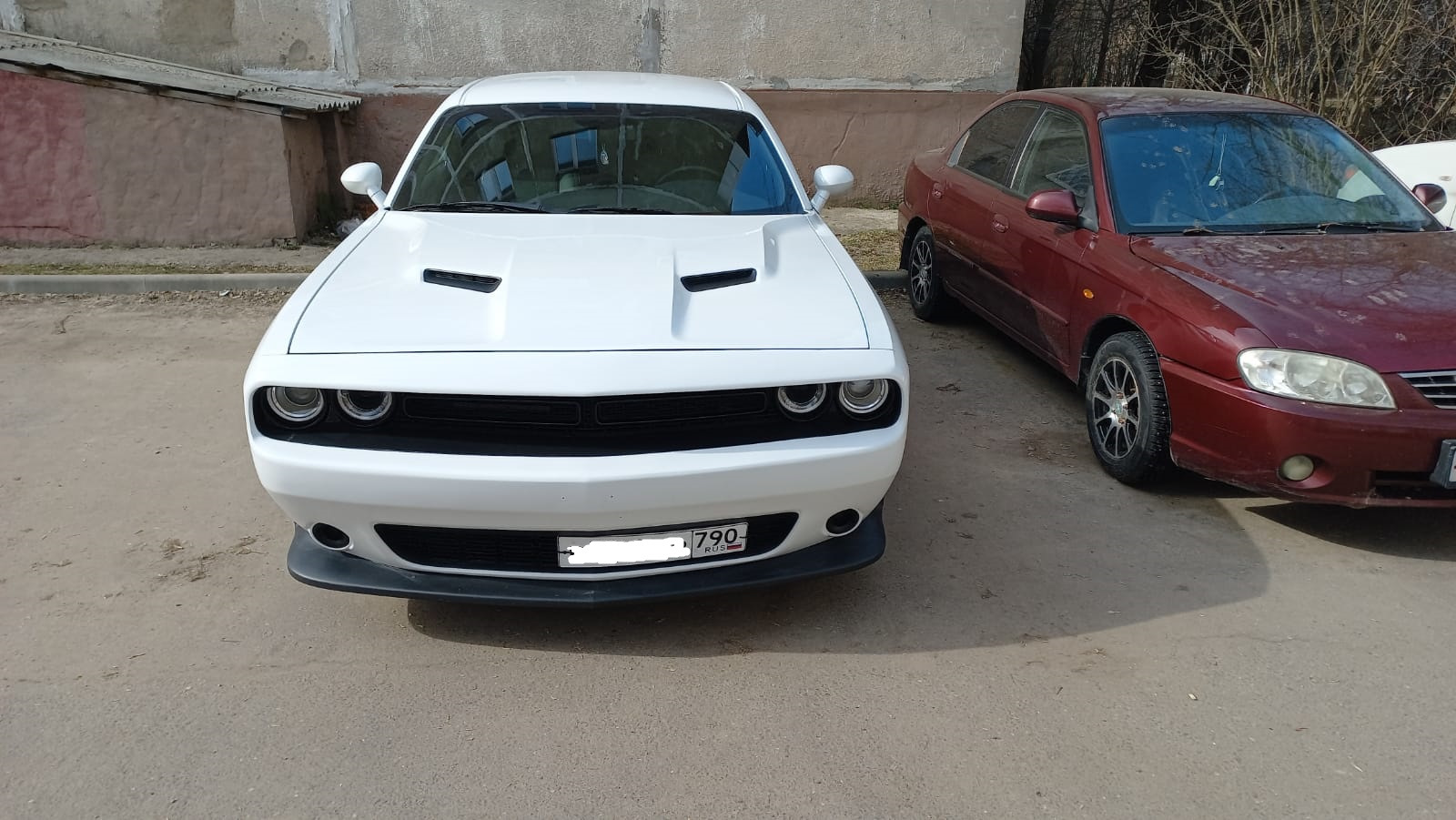 Додж. Теперь официально — Dodge Challenger, 3,6 л, 2019 года | наблюдение |  DRIVE2