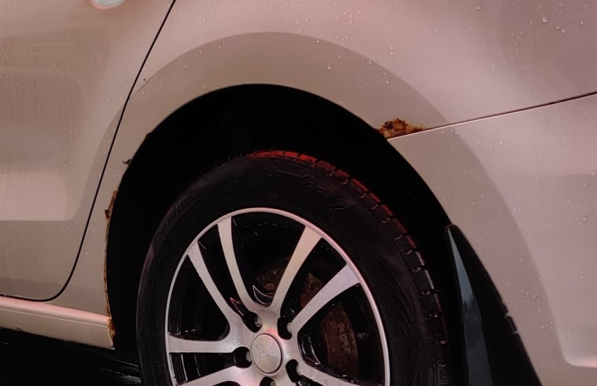 Помогите советом. Как грамотно и надолго избавиться от "рыжиков ...