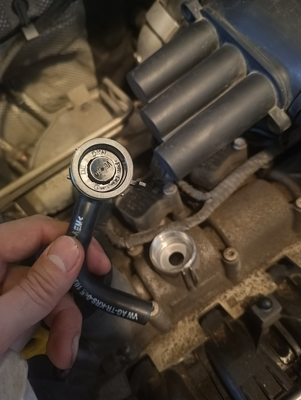 Фото в бортжурнале Volkswagen Tiguan (2G)