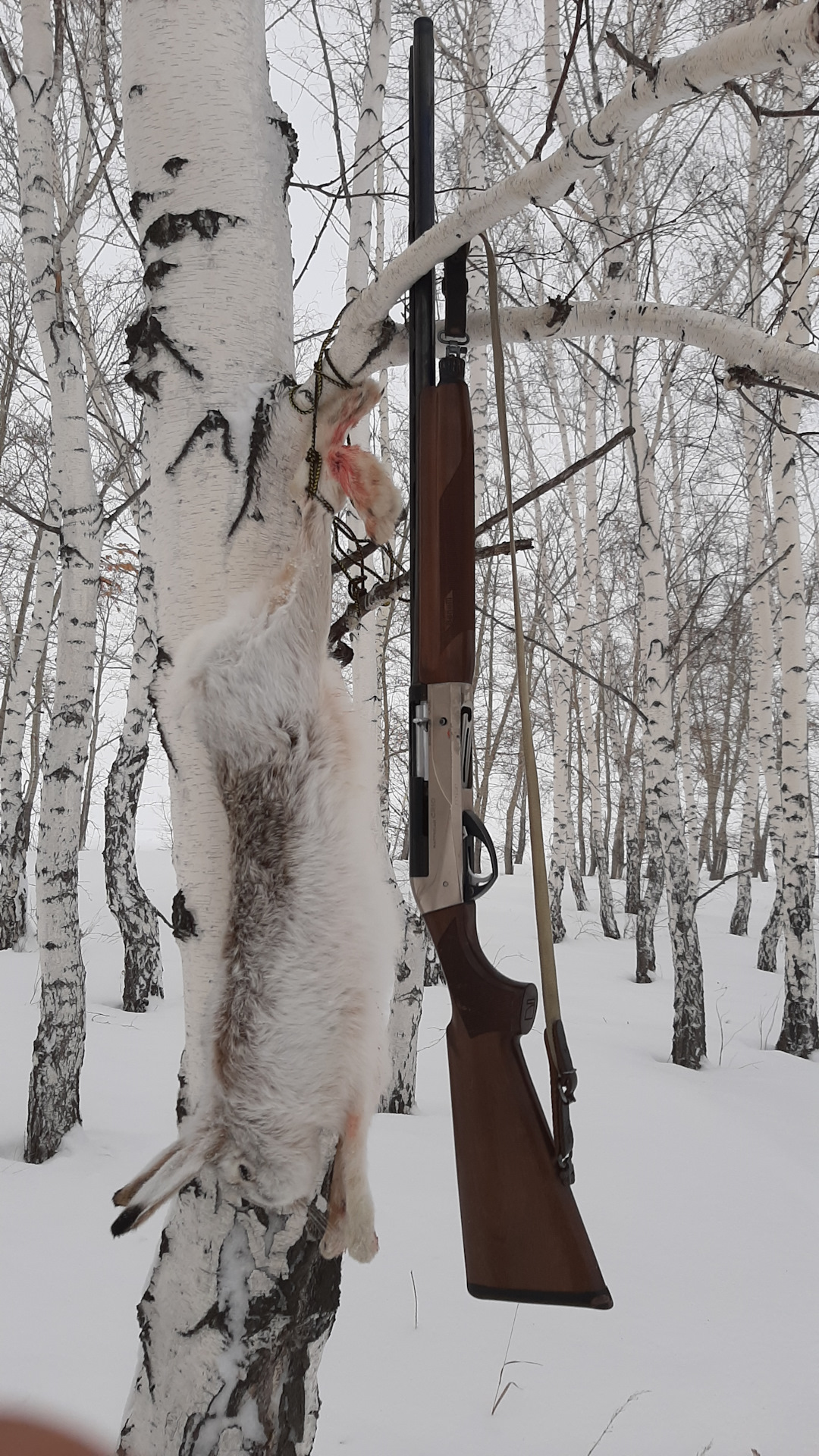 Счет 3:0 и все прелести сибирской погоды в один день — Сообщество ...