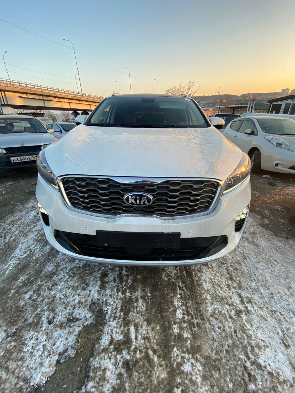 Мы уже в России) — KIA Sorento (3G), 2,2 л, 2019 года | покупка машины |  DRIVE2