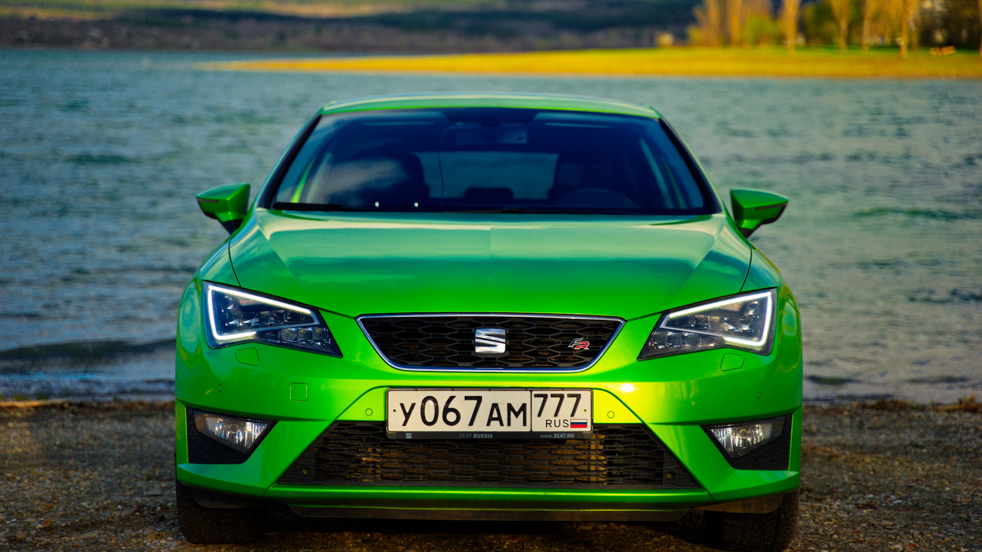 SEAT Leon FR (Mk3) 1.8 бензиновый 2013 | Свомпи на DRIVE2