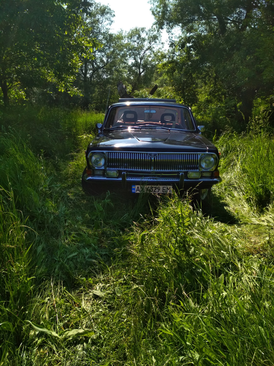 Выгул авто на природу. — ГАЗ 24, 2,4 л, 1978 года | фотография | DRIVE2