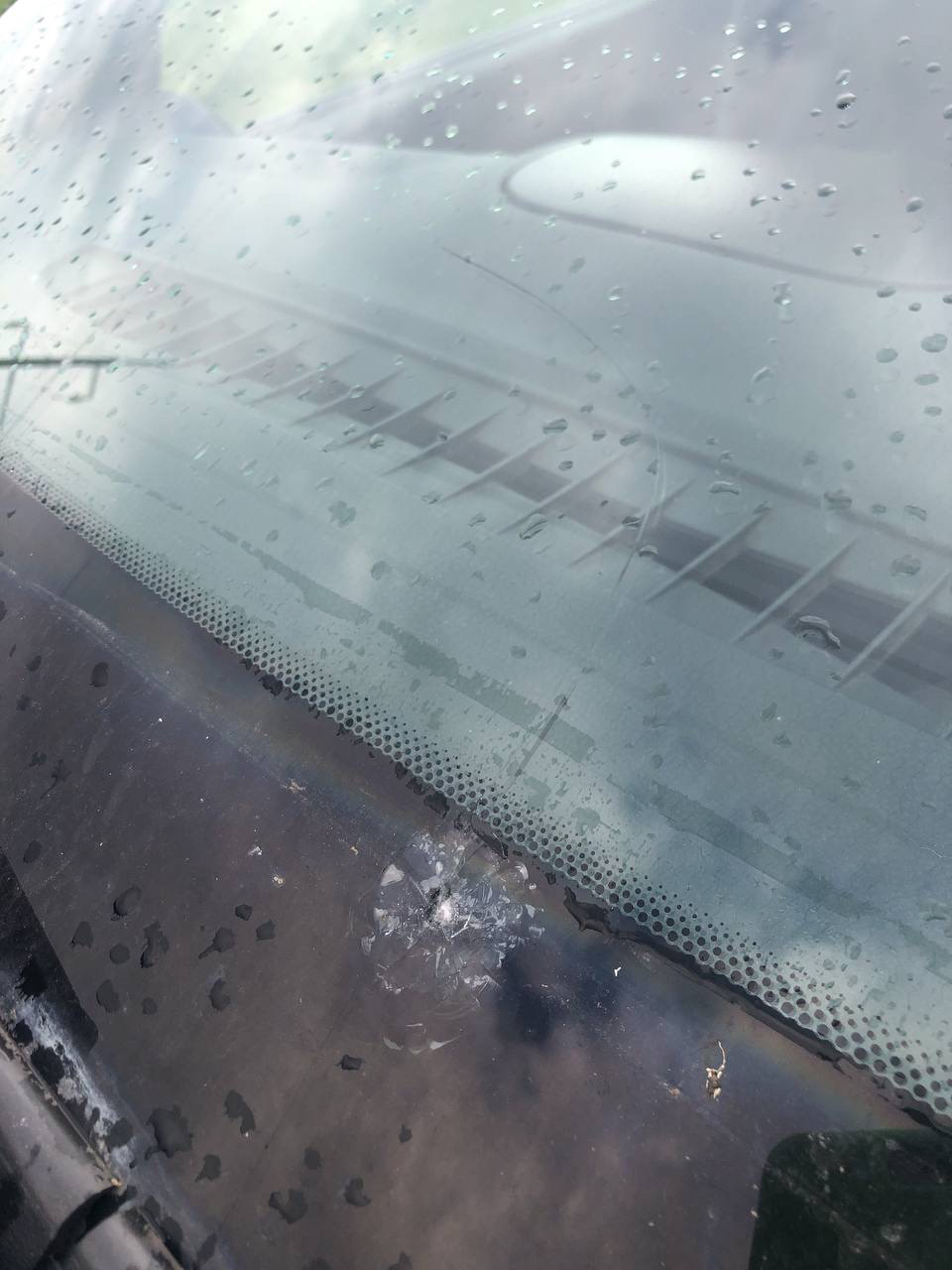 Прилетело в лобовое — Lada Гранта (2G) FL, 1,6 л, 2021 года | другое ...