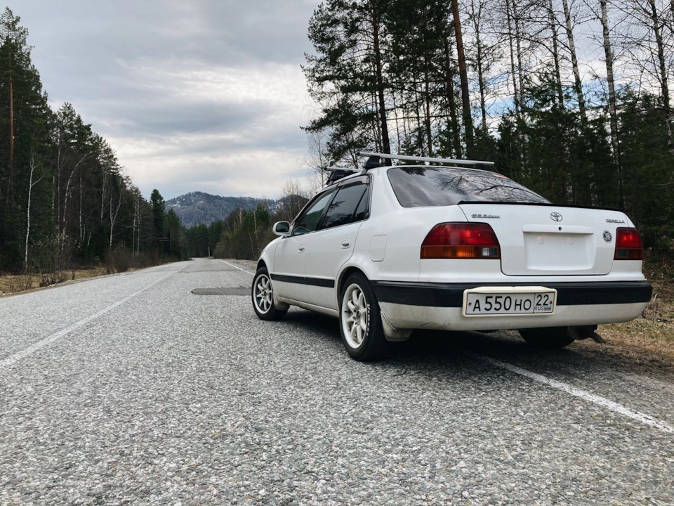 Фото в бортжурнале Toyota Corolla (110)