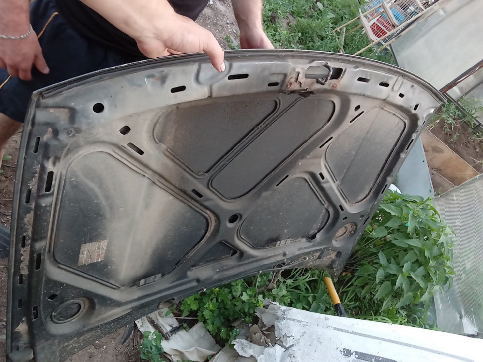обменяю капот от B3 на капот отгольф 3 HELP — Volkswagen Golf Mk3, 1,6 ...