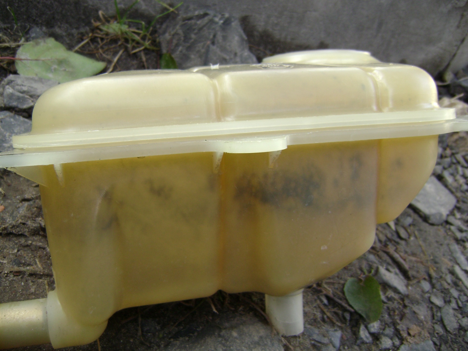 Фото в бортжурнале Volkswagen Passat Variant (B5)