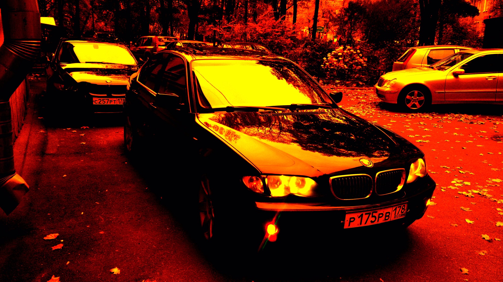 BMW 3 series (E46) 2.5 бензиновый 2001 | немецкая овчарка))) на DRIVE2