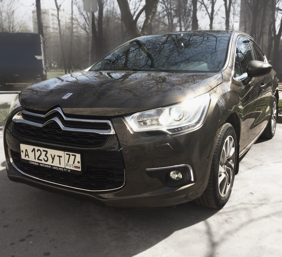 Год с Сидром — Citroen DS4, 1,6 л, 2013 года | другое | DRIVE2