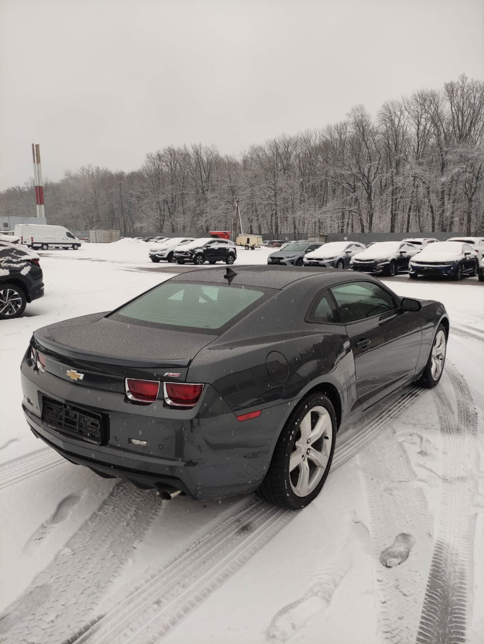 Покупка авто. Теперь я счастливый обладатель Комара😁 — Chevrolet Camaro V,  3,6 л, 2010 года | покупка машины | DRIVE2