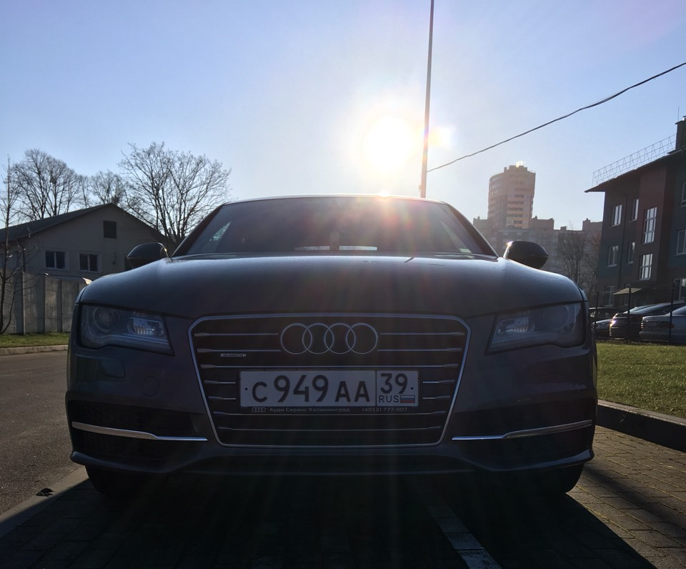 Бивни в хром. — DRIVE2