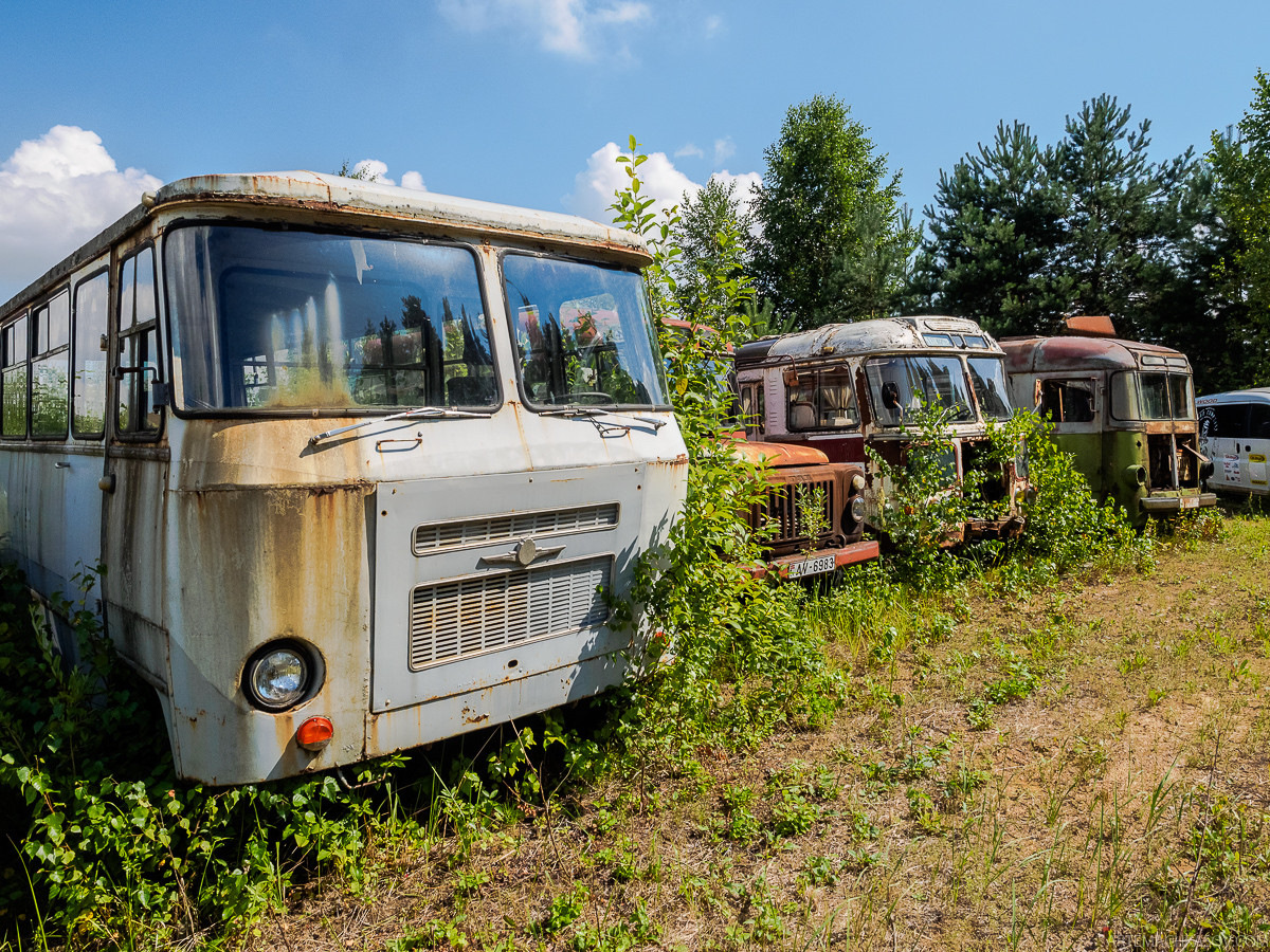 Автобус погост. Заброшенные ПАЗ-672. ПАЗ-672 брошенный. Заброшенный ПАЗ-3205 672 Кубань. Кладбище микроавтобусов РАФ В Латвии.