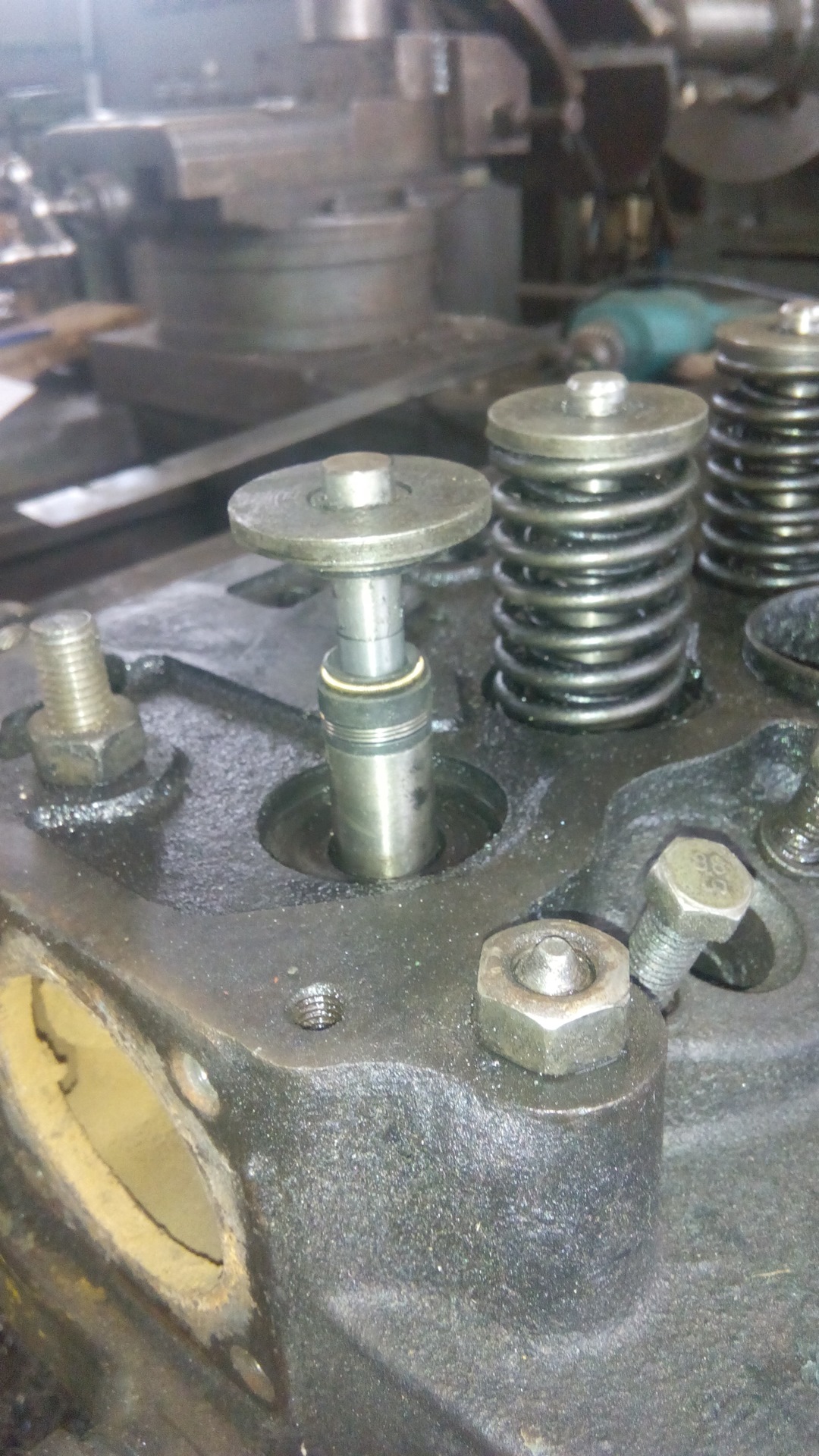 240 ч 3. маслосъемные колпачки мтз 80. 240 ч 3. 240 ч 3. 242 статья ук рф.