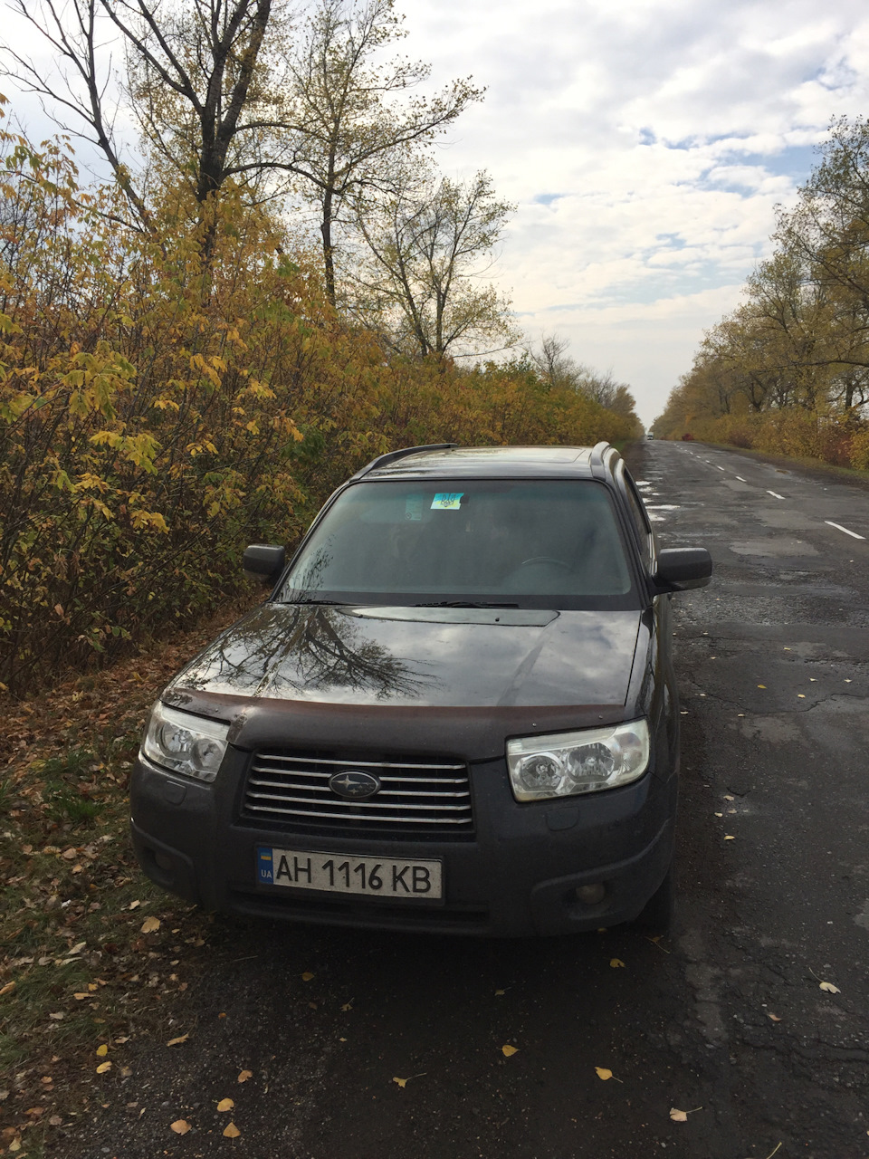 Поездка в Россию. Славянск-Ростов — Subaru Forester (SG), 2 л, 2006 года |  покатушки | DRIVE2