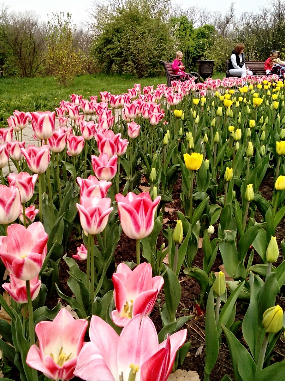 Запись от 10 апреля 08:34 — Lada Ларгус, 1,6 л, 2014 года | другое | DRIVE2