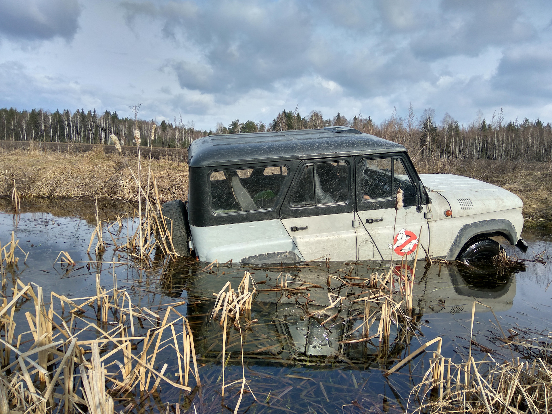 нива в реке