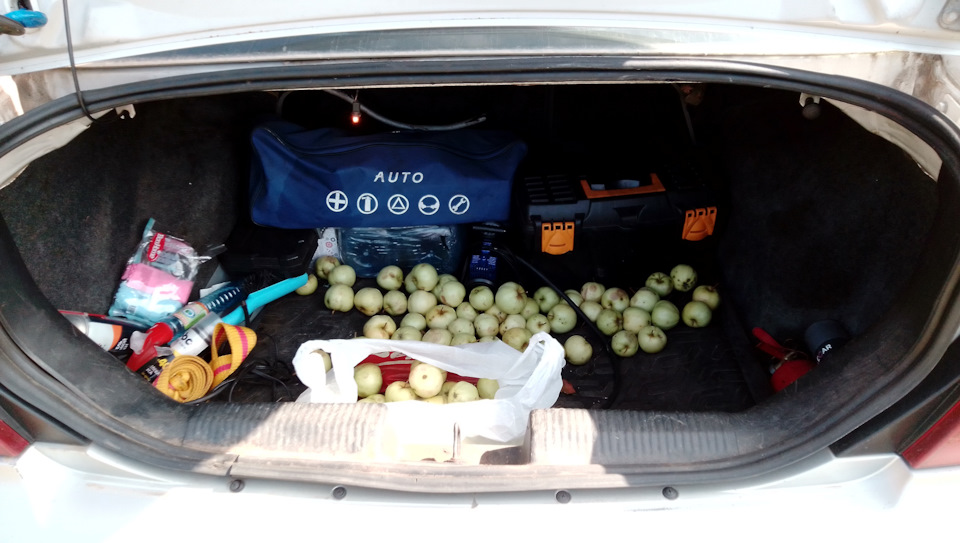 Фото в бортжурнале Ford Focus Sedan II