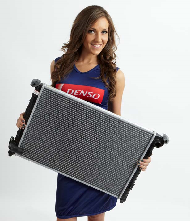 Течет радиатор, бежит радиатор. Help! — Honda Torneo, 2 л, 2002 года ...