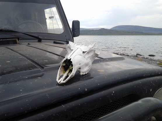 Фото в бортжурнале УАЗ 315195 Hunter