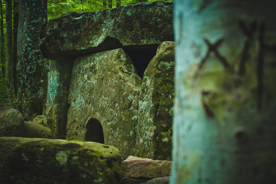 Фото в бортжурнале УАЗ 31512