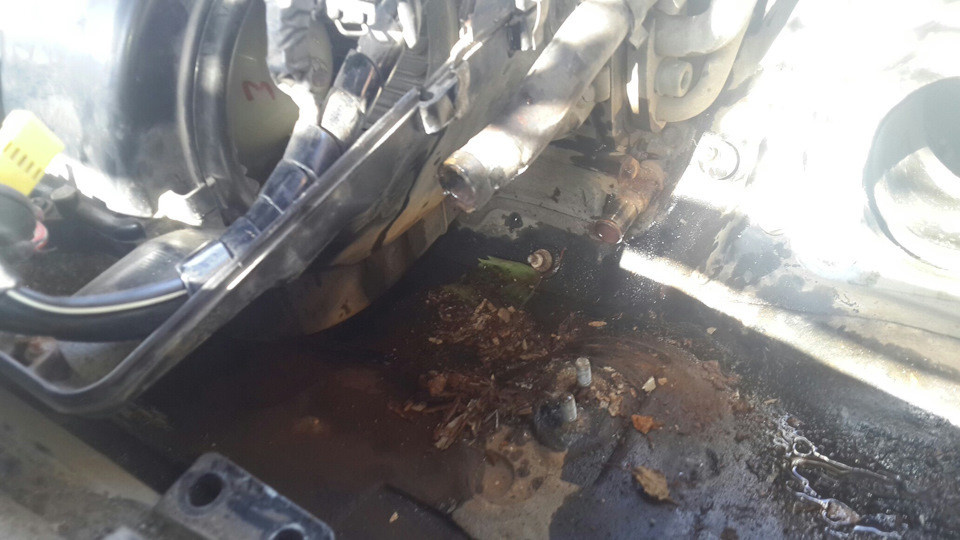 Фото в бортжурнале Audi A8 (D2)