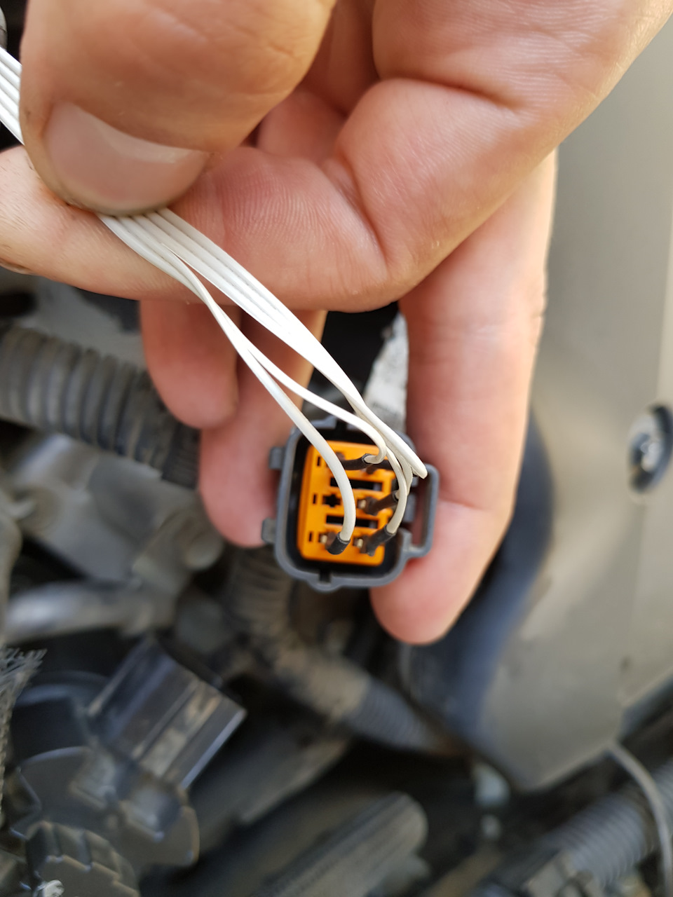 Фото в бортжурнале Mitsubishi L200 (4G)