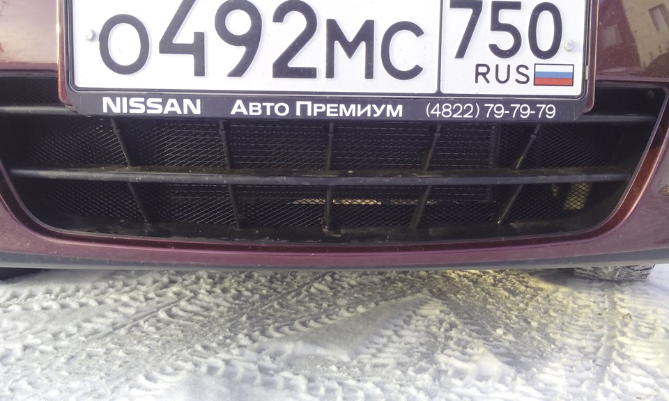 Сеточка — Nissan Almera V (G11/15), 1,6 л., 2015 года | стайлинг | DRIVE2