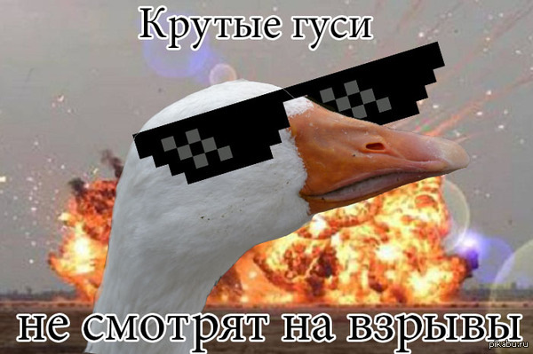 Мемы про гусей