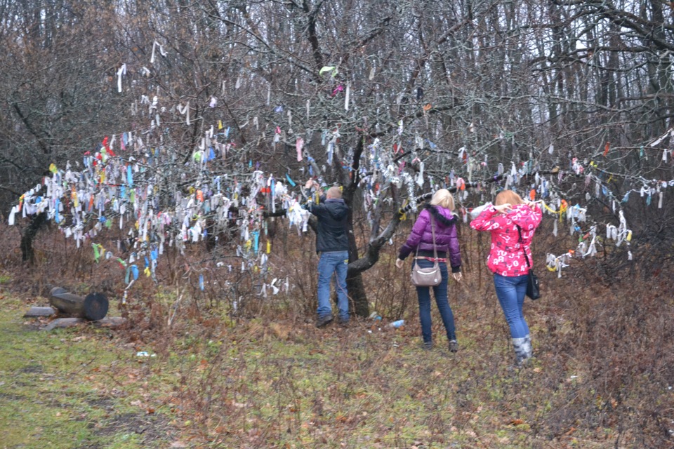 Хвалынск экологическая тропа пещера монаха