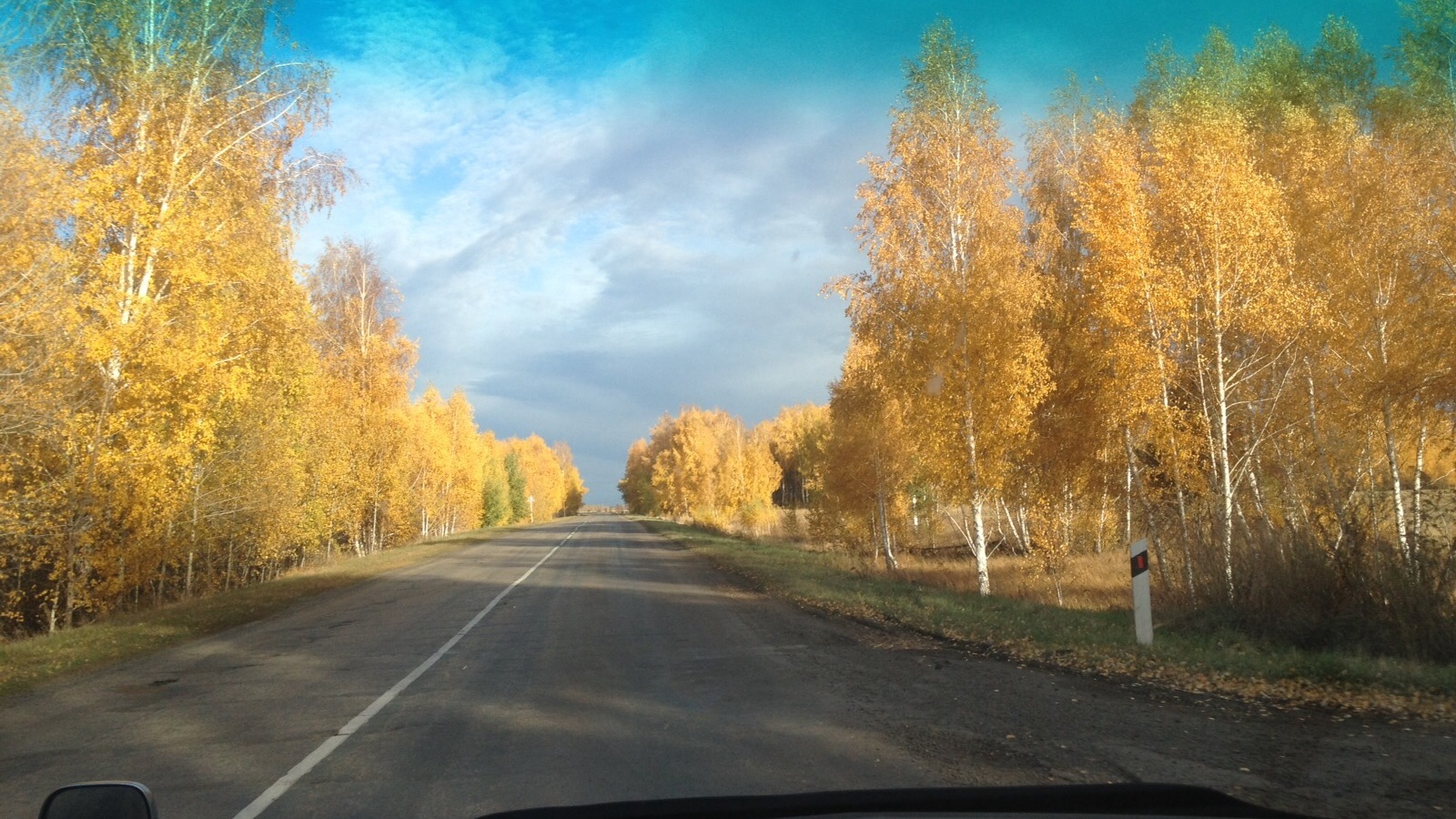 Трасса барнаул бийск. Барнаул дорога. Дорога в Бийск осенью. Барнаул осень трасса. Дорога Тобольск-Бийск.