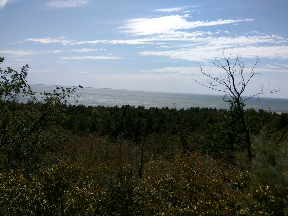 Фото в бортжурнале Ford Scorpio I