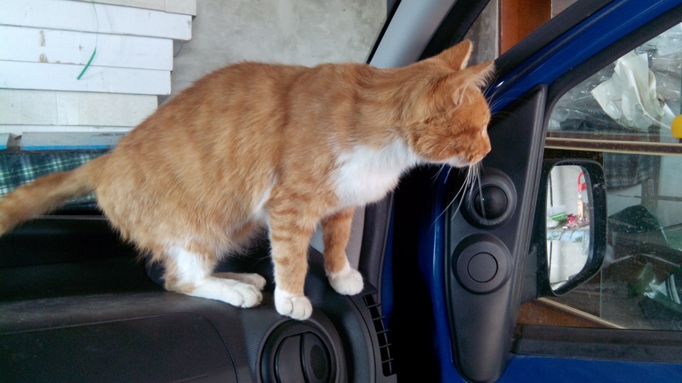 Поменял сайлентблок на амортизаторе — Peugeot Bipper, 1,4 л, 2009 года ...