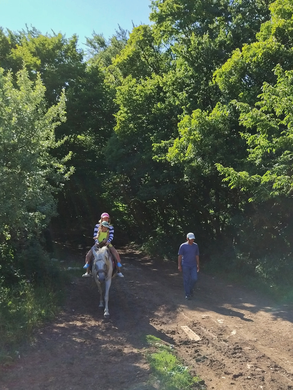 Фото в бортжурнале Audi A5 (1G)