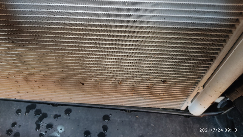 Фото в бортжурнале Volkswagen Tiguan (2G)