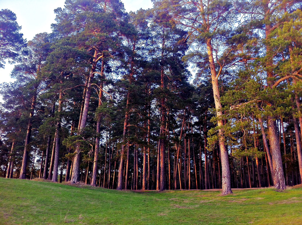 Фото в бортжурнале Chevrolet Niva (1G)