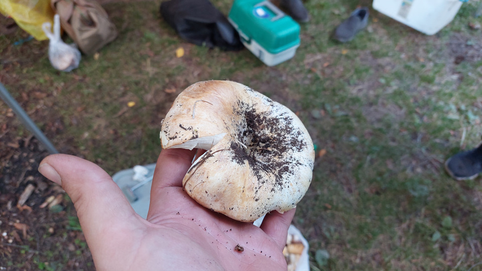 Фото в бортжурнале Mitsubishi Pajero (3G)