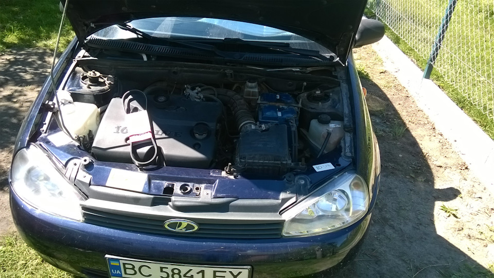 Замена ремня генератора и натяжного ролика — Lada Калина хэтчбек, 1,4 л ...