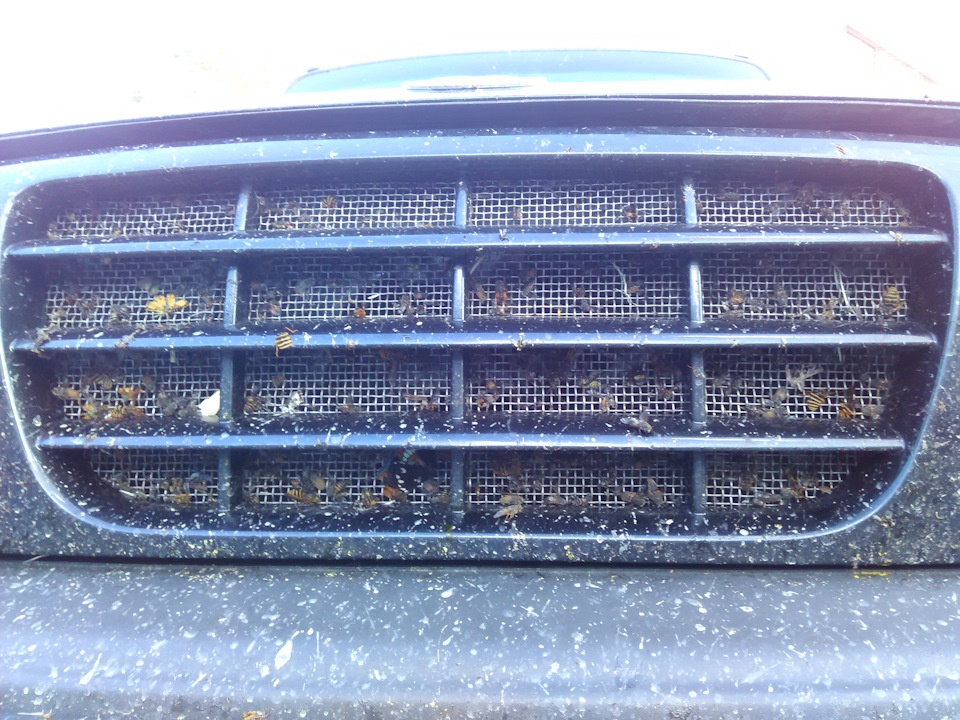 Поставил защитную сетку радиатора. — ТагАЗ Tager 3D, 2,3 л, 2008 года ...