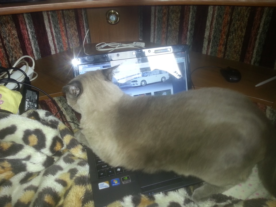 Катэ на DRIVE.2.RU — DRIVE2