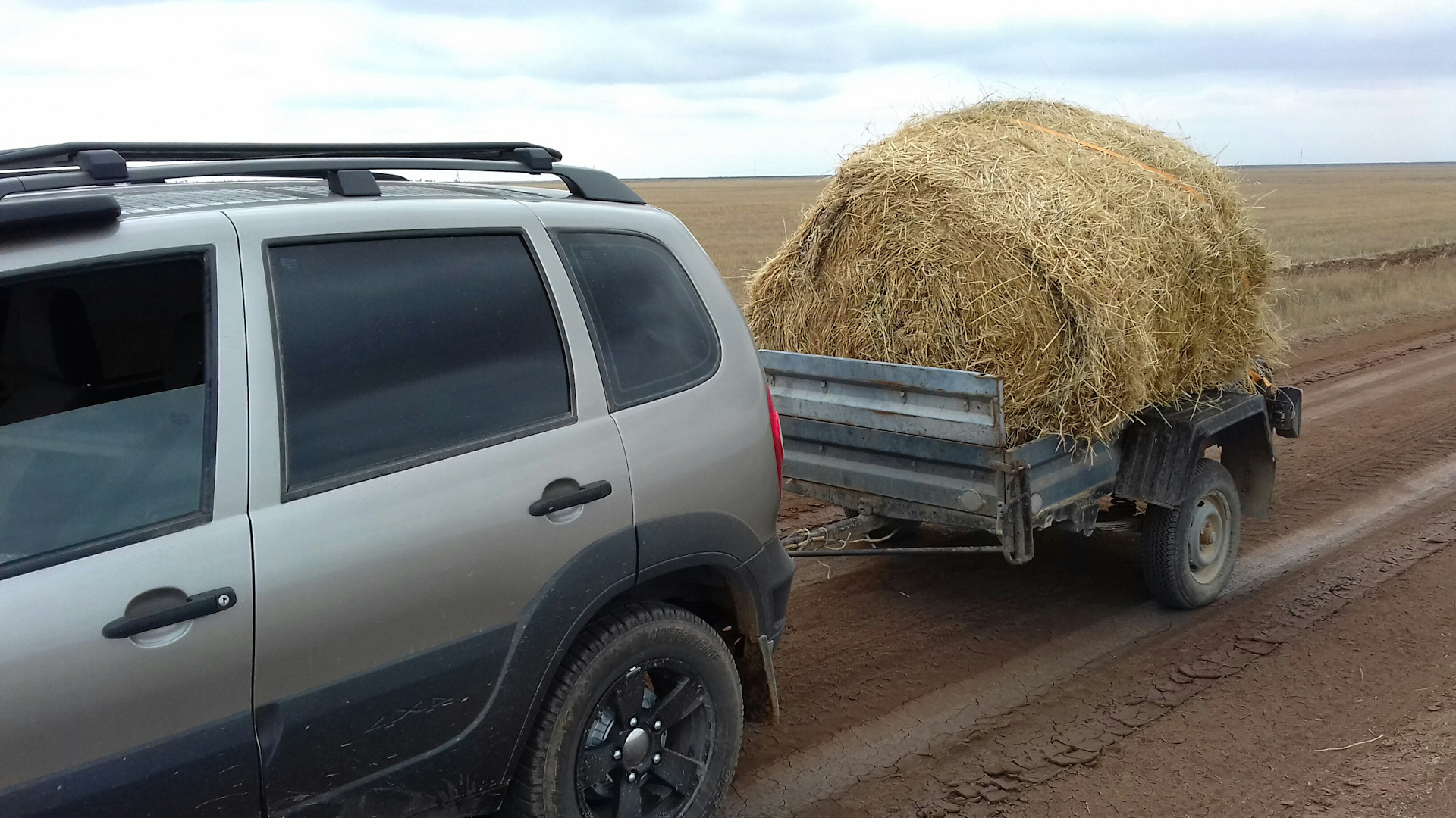 хранилище сена. заготовленное на зиму сено. заготовленное на зиму сено. сено силос сенаж. сенокос в деревне.
