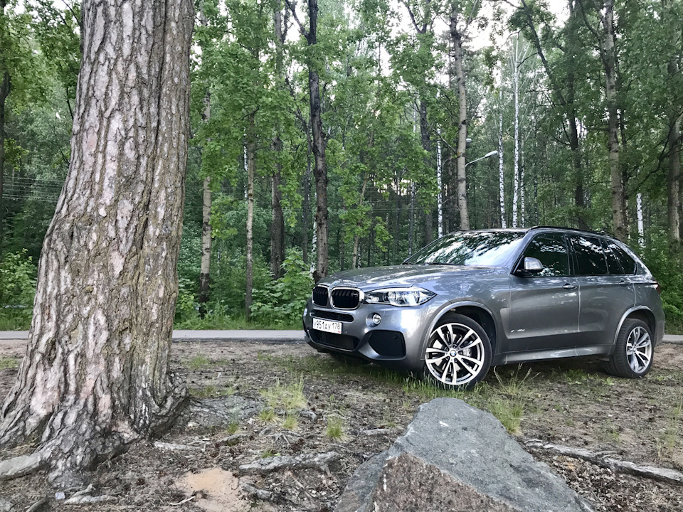 Фото в бортжурнале BMW X5 (F15)