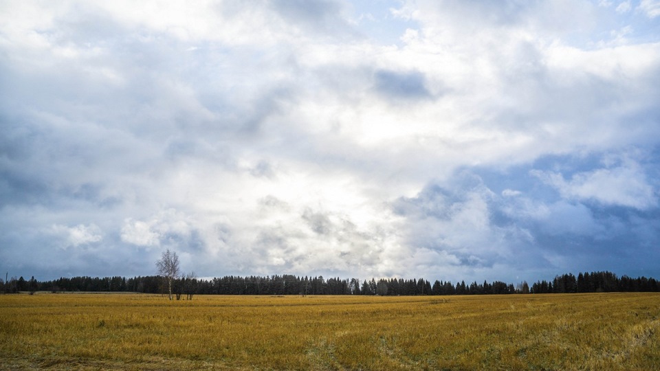 Фото в бортжурнале УАЗ Patriot