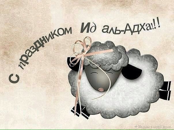 заказ, с праздником ид аль адха пожелания скандальный автор