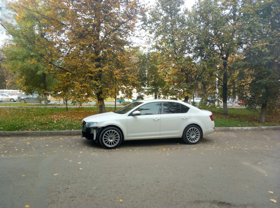 Фото в бортжурнале Skoda Octavia A7 Mk3