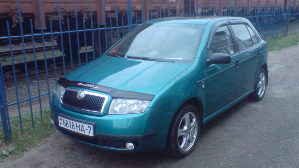 Skoda Fabia ципленок
