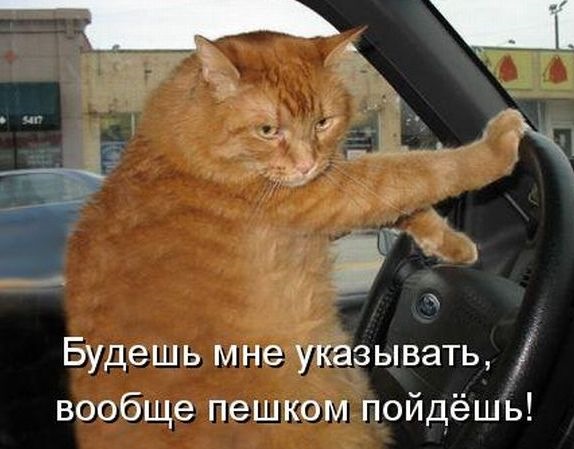 Фото в бортжурнале Citroen C1 (1G)