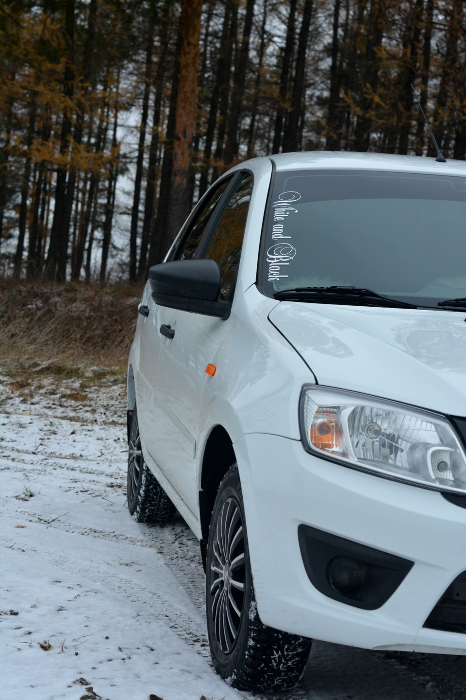 Белый LIFTBACK и ноябрьский лес — Сообщество «Белые автомобили (White Cars  Club)» на DRIVE2