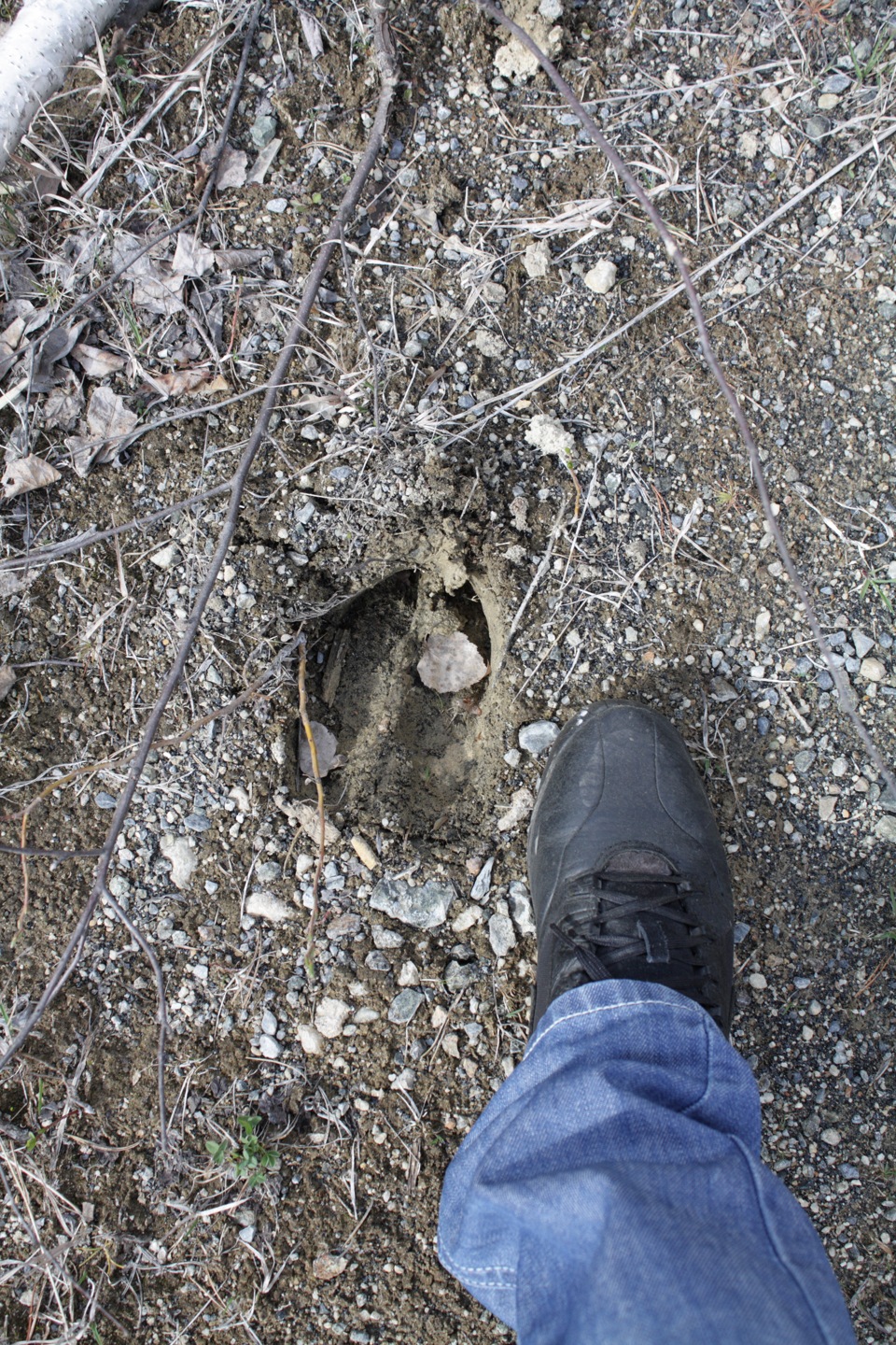 липовские карьеры есть ли рыба. Смотреть фото липовские карьеры есть ли рыба. Смотреть картинку липовские карьеры есть ли рыба. Картинка про липовские карьеры есть ли рыба. Фото липовские карьеры есть ли рыба липовские карьеры есть ли рыба. Смотреть фото липовские карьеры есть ли рыба. Смотреть картинку липовские карьеры есть ли рыба. Картинка про липовские карьеры есть ли рыба. Фото липовские карьеры есть ли рыба