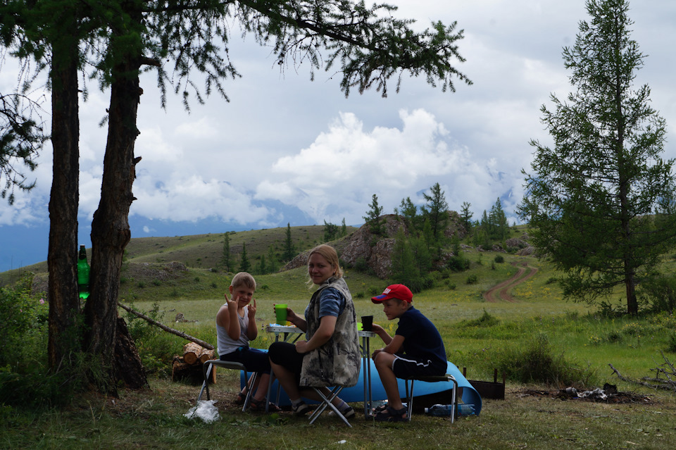 Фото в бортжурнале УАЗ Pickup